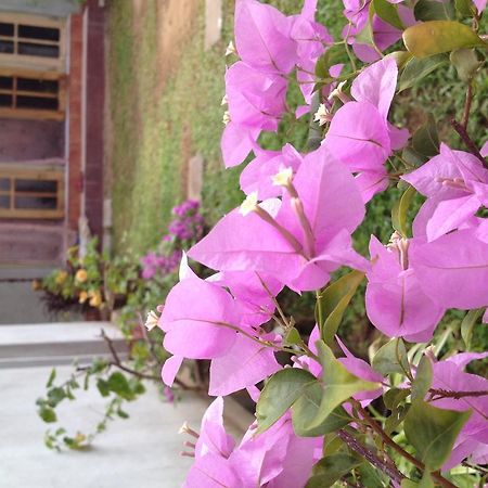 Manik Home Stay Kudapaduwa Eksteriør bilde