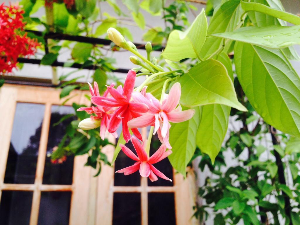 Manik Home Stay Kudapaduwa Eksteriør bilde