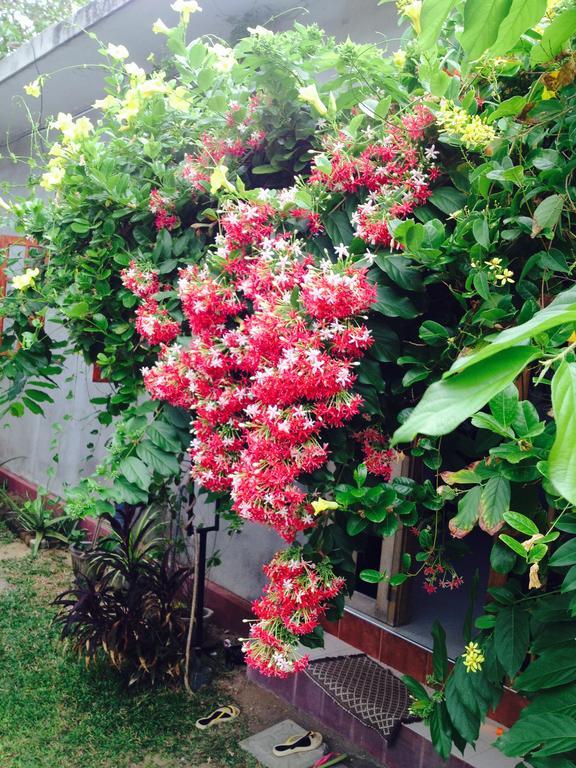 Manik Home Stay Kudapaduwa Eksteriør bilde